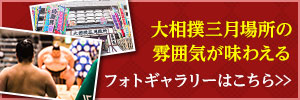 大相撲三月場所の雰囲気が味わえるフォトギャラリーはこちら